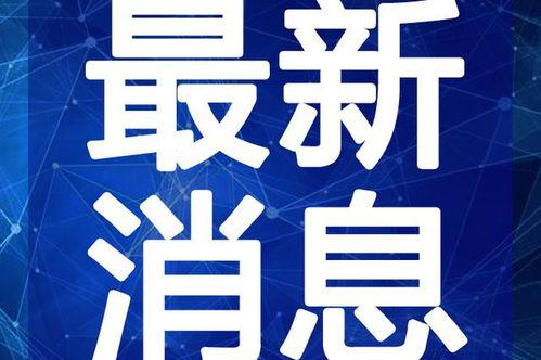 皮蛋爆料官最新视频下载,精彩内容抢先看!