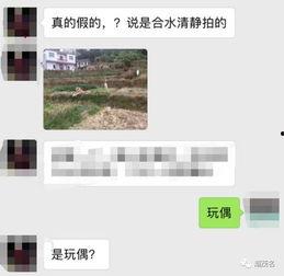 茂名真实爆料案件最新情况,真相渐明,疑云散去,正义终将到来